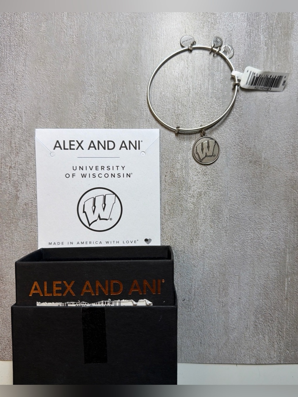Alex and Ani University of Wisconsin Charm Bangle Bracelet. Rafaelian Silver.